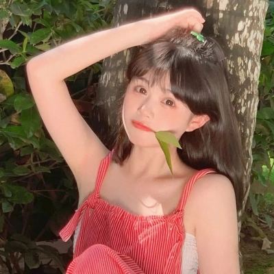 铁血争霸破解版下载